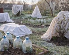 Похолодання у травні. Фото: Telegram