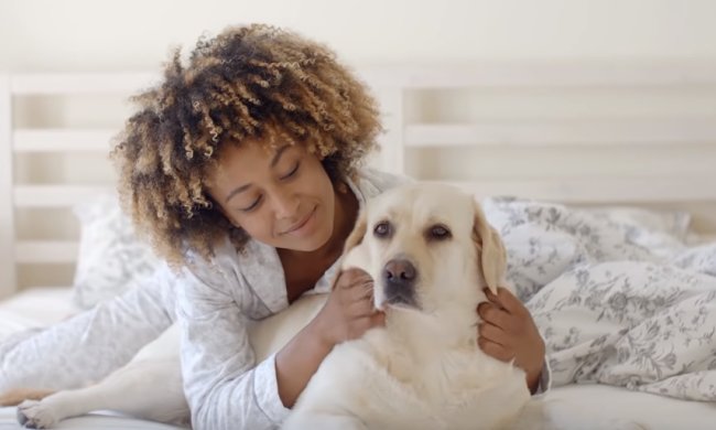 Как вести себя с собакой во время карантина. Фото:  AdMe.ru