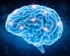 Нейробиологи поразили своим исследованием: стало известно, при каких обстоятельствах мозг работает на полную