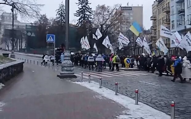 Предприниматели приближаются к зданию Рады. Фото: скриншот Facebook-видео