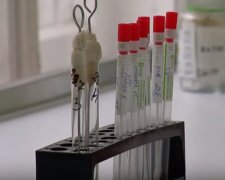 Украинцам с ОРВИ будут делать тесты на коронавирус. Фото: скриншот YouTube