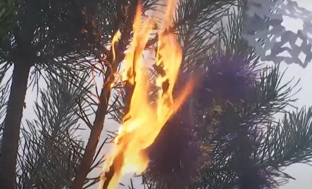 Сгорело новогоднее дерево. Фото: скриншот Youtube