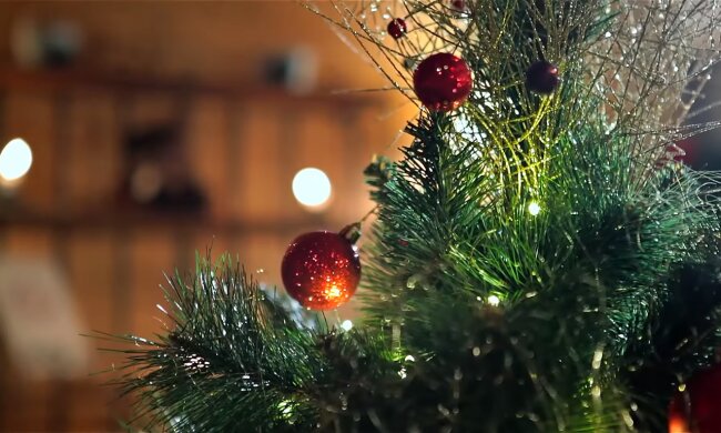 Новогодняя елка. Фото: Youtube