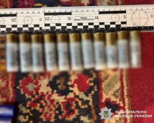 Корпуси гранат Ф-1 і РГН, підривачі та набої, вилучені поліцією Київщини