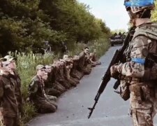 На болотах дика паніка: ЗСУ пішли у новий наступ на Курщині, скоро впаде і Білгородщина