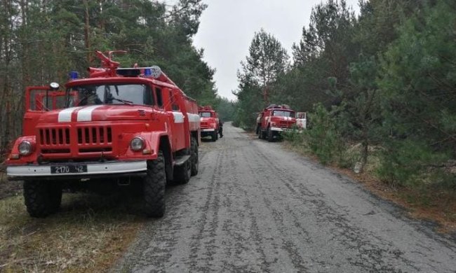 Пожары. Фото: скриншот YouTube.