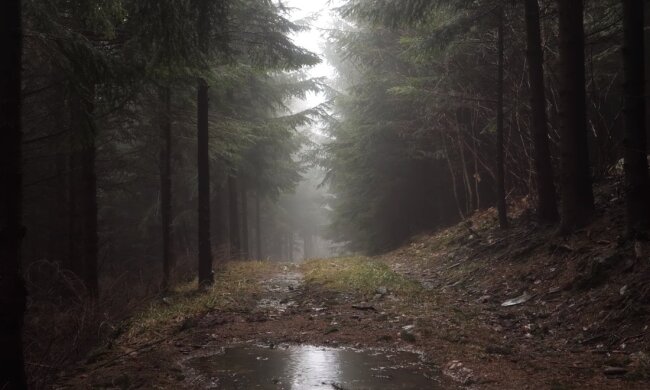 Дождливая погода. Фото: скриншот YouTube