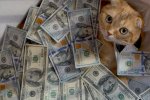 Ученые выяснили, за какую сумму можно купить счастье