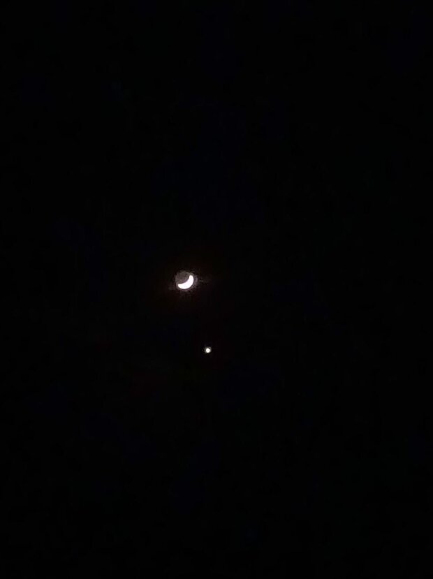 Луна и Венера. Фото: скриншот Telegram