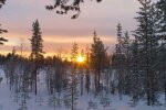 Природа. Фото: скріншот YouTube-відео