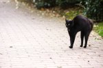 Гороскоп на 18 июня: кого сегодня будет подстерегать опасность