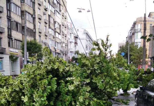 Киев накроет непогода, берегитесь деревьев: прогноз в Киеве на 6 октября