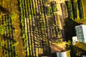 В Україні переписали ціни на землю. Фото: YouTube