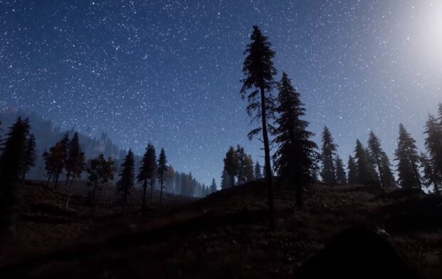 Звездная ночь. Фото: скриншот YouTube-видео