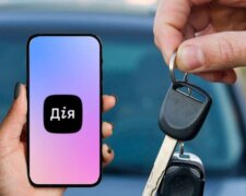 В МВД напомнили, что обязательно сделать после продажи авто в Дії. Фото: из открытых источников