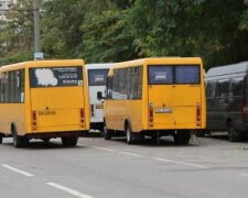 В Днепре десятки автобусов сошли с маршрутов: в мэрии назвали причину
