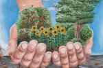 Госэкоинспекция отметила детей - победителей Всеукраинского конкурса плакатов "Будущее планеты в наших руках!"