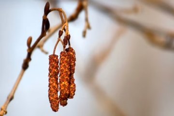 Праздники 5 марта 2020 года!