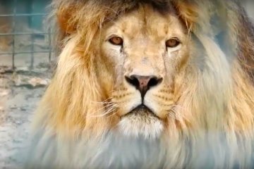 Харьков. Фото: скриншот YouTube.