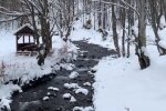 Природа. Фото: скриншот YouTube-видео