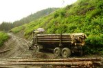Страшная трагедия всколыхнула Закарпатье: из-за непогоды грузовик скатился с горы в реку, никому не удалось выжить. Фото с места ДТП