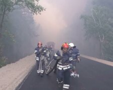 Лесные пожары в Луганской области. Фото: скрин youtube