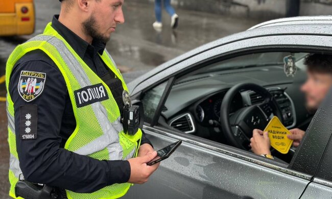 В МВД предупредили всех водителей о проверке документов - от прав до техосмотра