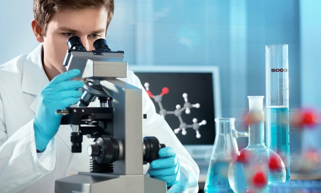 Чем кормят во львовских кафе: у отравившихся на свадьбе нашли сразу несколько страшных инфекций