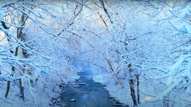 Зима. Фото: YouTube, скрин
