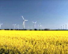 Ветряные электростанции. Фото: скриншот YouTube-видео.