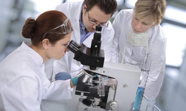 Спасение для мужчин: врачи нашли средство от рака