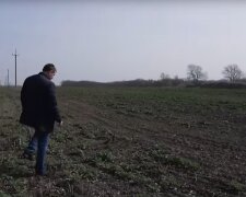 У кого есть пай, готовьтесь: цену на землю переписали, где дороже всего