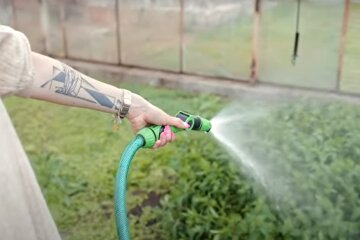 Огород. Фото: YouTube