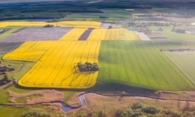 Украинец может получить участок земли. Aото: скриншот YouTube