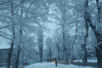 Україну засипало снігом. Фото: скрін YouTube