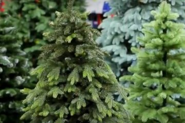 Елки, скриншот YouTube