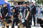 Подняли на уши полицию, военнослужащих и СБУ: на улицах Киева неспокойно, подробности