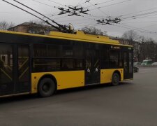 В Киеве троллейбусы поедут по-другому этой ночью: что изменится