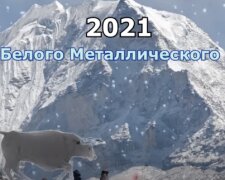 Новый год 2021