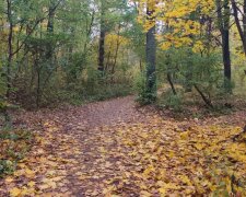 Сухо, сонячно, але холодно: синоптики попередили про погоду в Україні на завтра