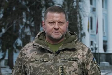 Валерій Залужний. Фото: скрін відео