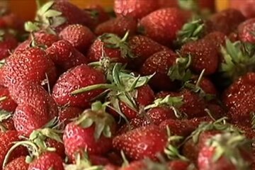 Врачи рассказали, кому стоит отказаться от клубники. Фото: скриншот YouTube