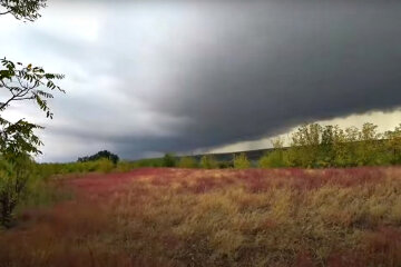 Погода в Украине. Фото: скриншот YouTube-видео.
