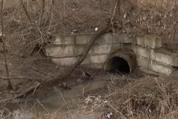 В реку Сырец сливают неочищенные опасные отходы. Фото: YouTube