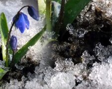 Дожди и резкое похолодание: синоптики назвали области, где 17 марта станет холодно