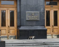 Зеленский определился, кто будет руководить Офисом Президента