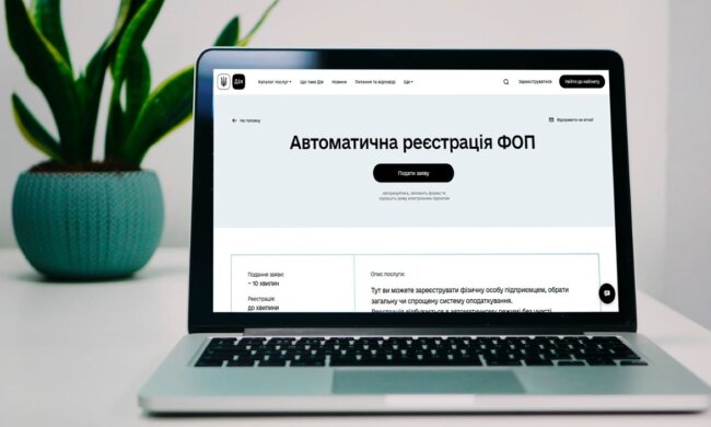 ФОП, документи, оновлення. Фото: ілюстративне