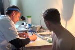 Медогляд. Фото: скріншот YouTube-відео