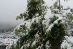 Источник: Слово и Дело