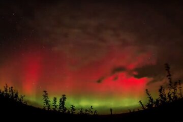 Зоряне небо. Фото: YouTube, скрін